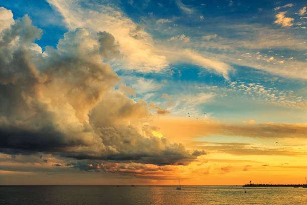 istock landscape of Sochi city 898555196