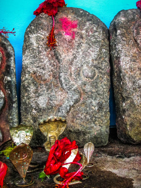 istock colors of India 898555382
