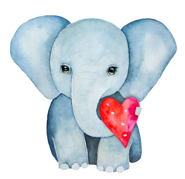 illustrations, cliparts, dessins animés et icônes de éléphant d’enfants portrait de personnage, tenant un coeur rose rouge avec coffre. - animal nose