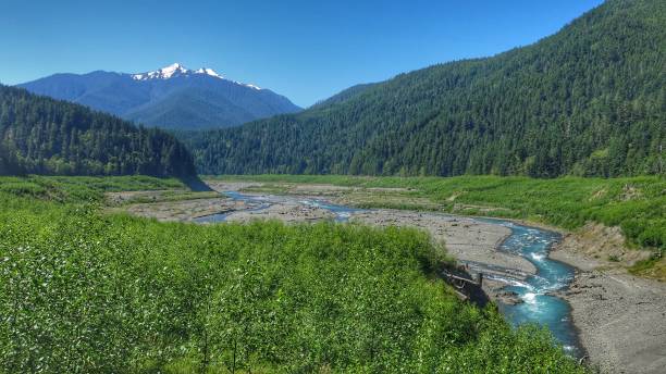 istock Olympic National Park River Valley Landscape, Washington 898559346