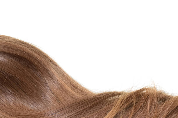 istock Curl of natural hair on a white background 898562852