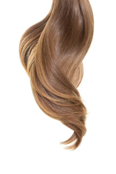 istock Curl of natural hair on a white background 898562872
