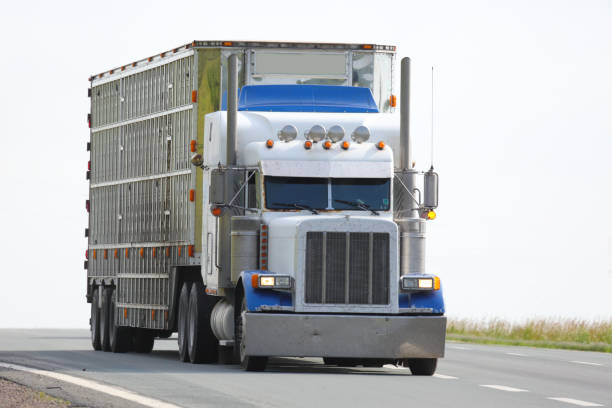 istock Semi-truck on a highway 898569818