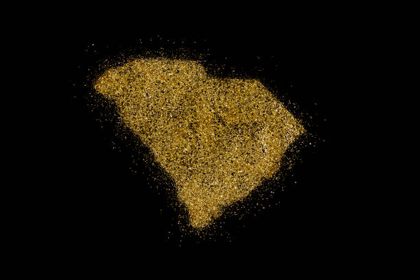 istock South Carolina shaped from golden glitter on black (series) 898570654