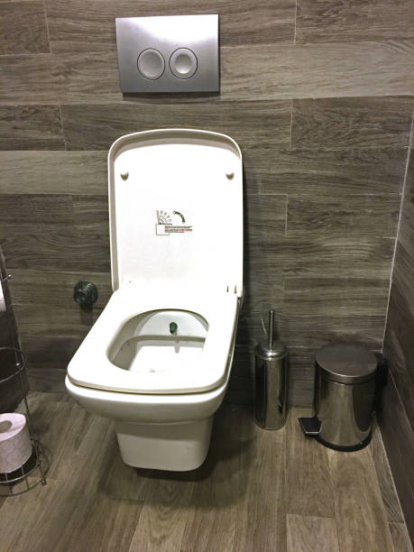istock Toilet and tissue 898571260