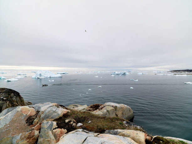 istock Arctic Icebergs on Arctic Ocean in Greenland 898575012