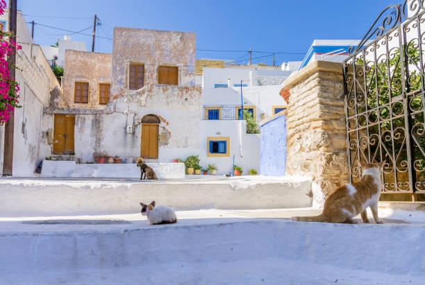 istock Architecture in Leros island, Dodecanese, Greece 898575362