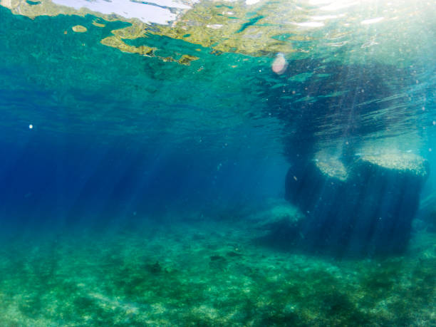 istock Underwater landscape and a big rock 898578158