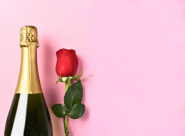 Closeup of a bottle of champagne and a single red rose against a pink background with copy space.