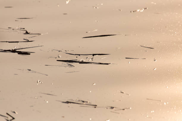 istock expanse of water on the sunset background 898582086