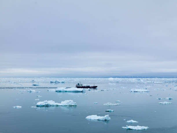 istock Arctic Icebergs on Arctic Ocean in Greenland 898586436