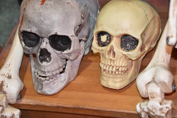 istock Scary skulls in an escape room 898589232