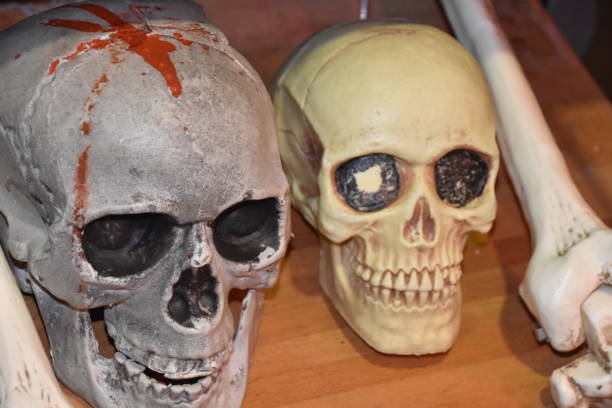 istock Scary skulls in an escape room 898589388