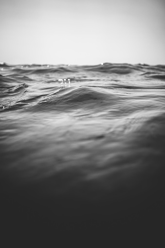 Water surface to the horizon.