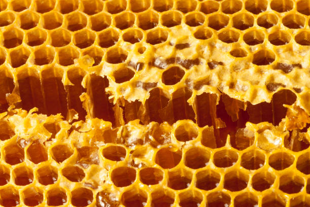 istock Fresh organic honey - close up 898601916