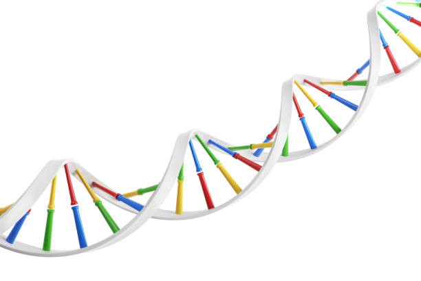 istock White DNA chain close up 898607536