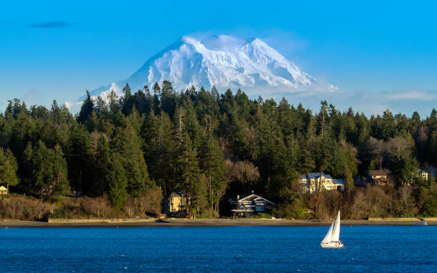 istock Sailing On Puget Sound Under Mt. Rainier 898607952