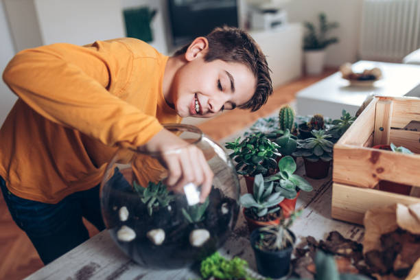 Boy with terrarium at home Photo of boy making terrarium at home terrarium stock pictures, royalty-free photos & images