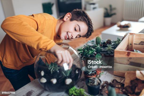 Boy With Terrarium At Home Stock Photo - Download Image Now - Terrarium, Child, Houseplant
