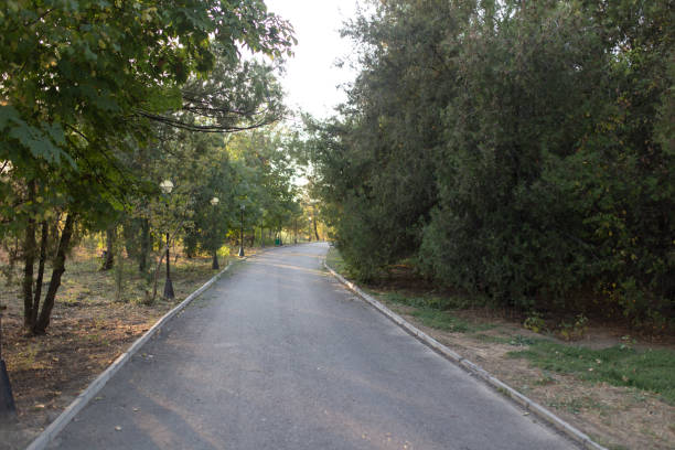 istock road in a park at sunset 898608196