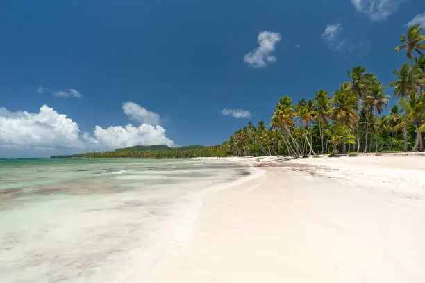 Beautiful tropical beach on Samana Peninsula, Dominican Republic