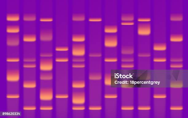 Dna シーケンスのゲル - 電気泳動ゲルのストックフォトや画像を多数ご用意 - 電気泳動ゲル, DNA, ポリマーシークエンシング