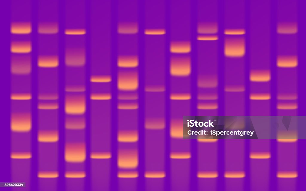 DNA 시퀀스 젤 - 로열티 프리 DNA 염기서열 젤 스톡 사진