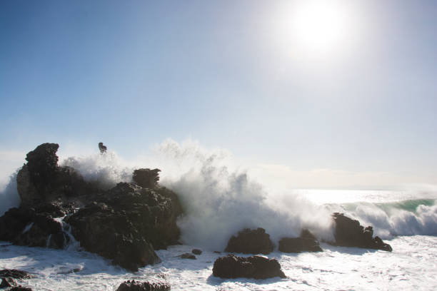 istock waves crashing on the rocks at Acitrezza in Sicily 898636644