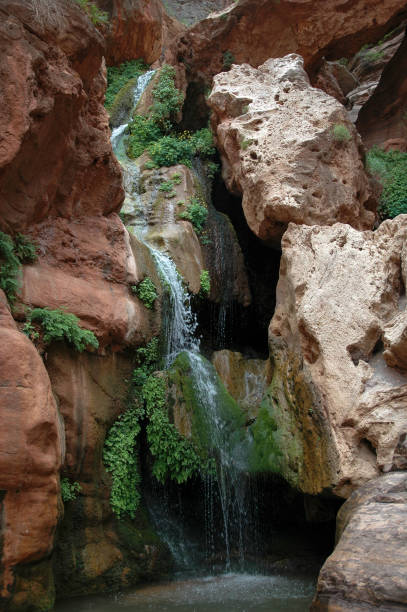 istock Elves' Chasm, a remote waterfall deep within Grand Canyon along the Colorado River 898636930