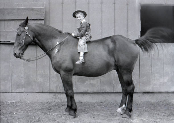 farm boy on draft horse 1931 Farm boy sitting on draft horse. Wellman, Iowa, USA. Scanned film 1931. iowa photos stock pictures, royalty-free photos & images