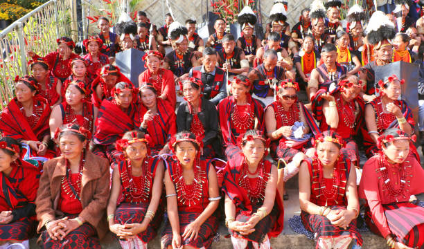 북쪽 동쪽 인도의 부족 문화 예술가 - india traditional culture indigenous culture women 뉴스 사진 이미지