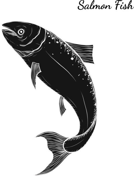 wektor ryb przez rysunek ręczny. - chinook salmon stock illustrations