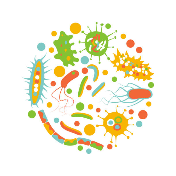 ilustrações, clipart, desenhos animados e ícones de microorganismo bacteriano em um círculo - staphylococcus aureus resistente à meticilina