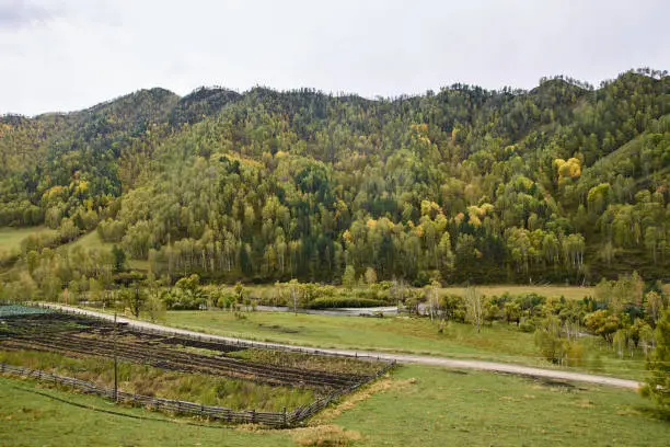Mountain landscape. Large green forest. Autumn landscape.