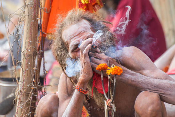 indyjski sadhu palenie ganja - indian culture guru sadhu hinduism zdjęcia i obrazy z banku zdjęć
