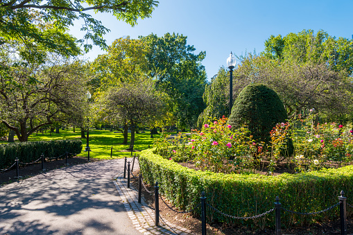Public garden around the castle summer flowerbed Guildford Surrey England Europe