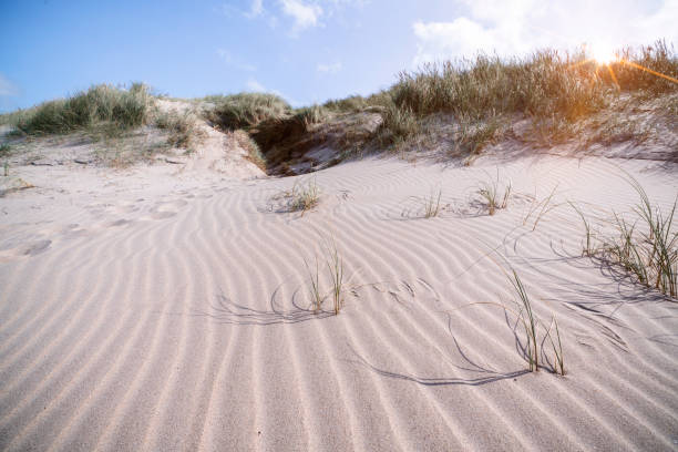 istock Beach shaped by the wind on a Scandinavian shore 898664440