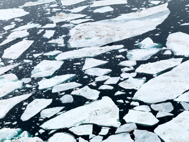 istock Arctic Icebergs on Arctic Ocean in Greenland 898664472