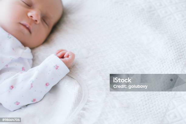 A Newborn Has A Healthy Days Sleep Stock Photo - Download Image Now - Baby - Human Age, Newborn, Sleeping