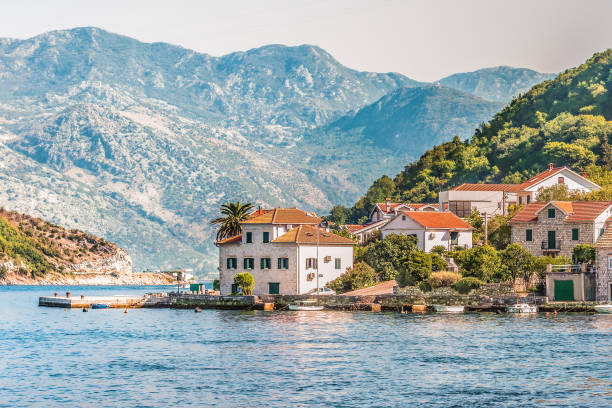 vista sulla costa dal traghetto che trasporta auto e persone a lepetane, kotor, montenegro. - montenegro kotor bay fjord town foto e immagini stock