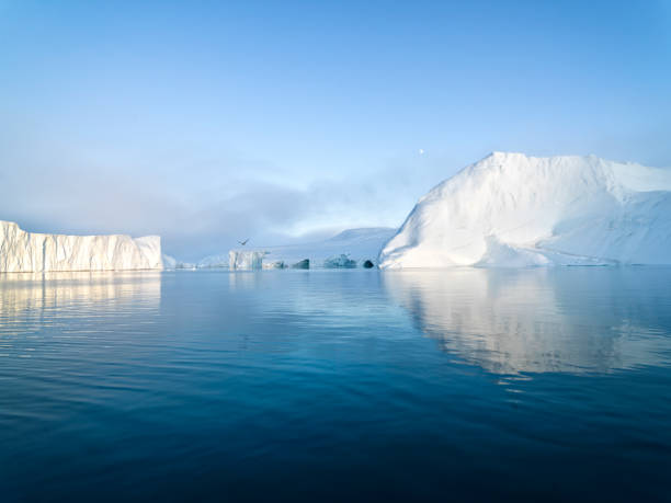istock Arctic Icebergs on Arctic Ocean in Greenland 898666258