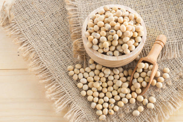 istock soybean in wood cup  on sack background 898666992