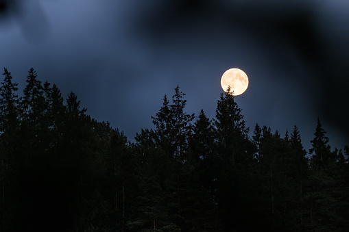 Moon over the forests of Sweden