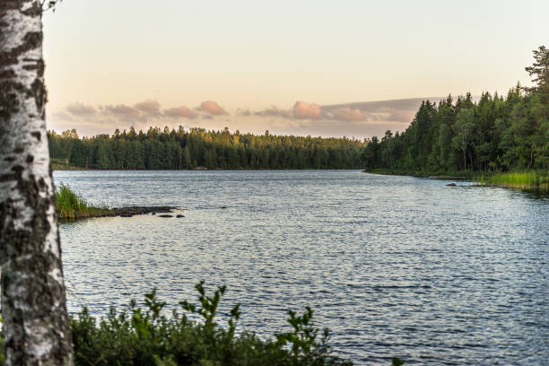 istock A day at the lake in Sweden 898671684