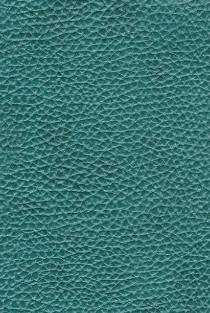 istock texture of skin 898674410