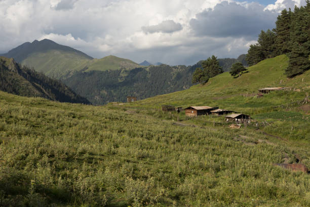 istock view of Omalo 898679108