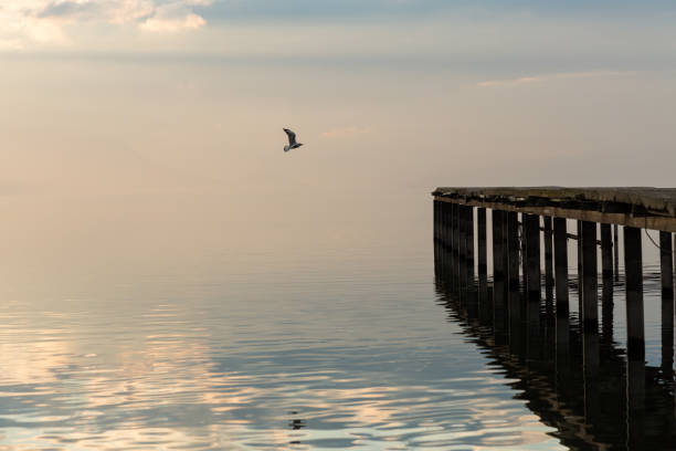 istock pier on a calm lake 898679450
