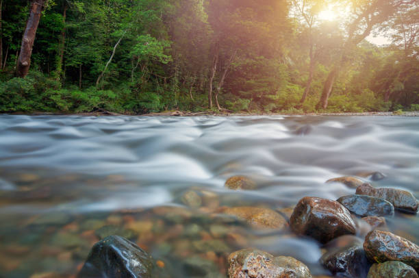 istock Natural rainforest clear water dreamy flows rocky river tropical landscape Malaysia. 898680224