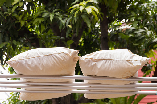 Leave pillows in the sun to plump it up again