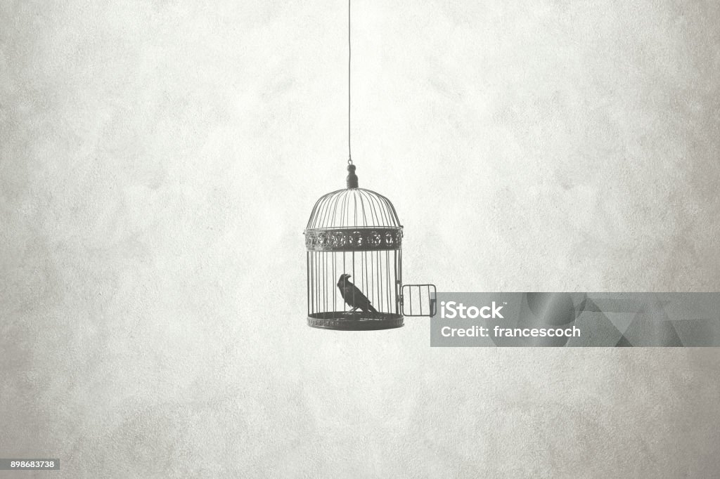 concept un minimum de liberté, oiseaux dans une cage ouverte - Photo de Cage à oiseaux libre de droits